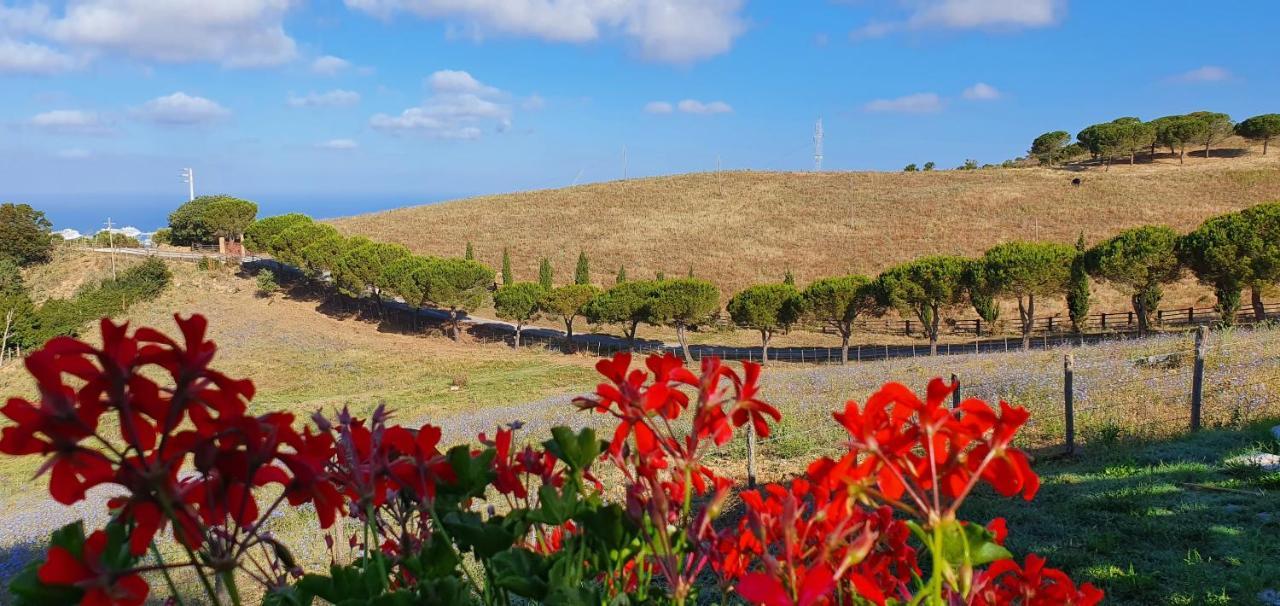 Hotel Tenuta Dell'Argento Resort Civitavecchia Exteriér fotografie